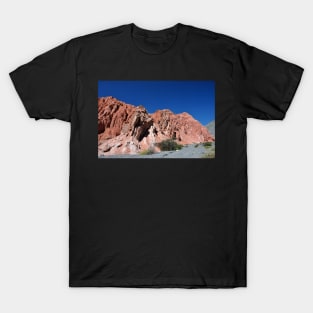 Argentine - Quebrada de Humahuaca T-Shirt